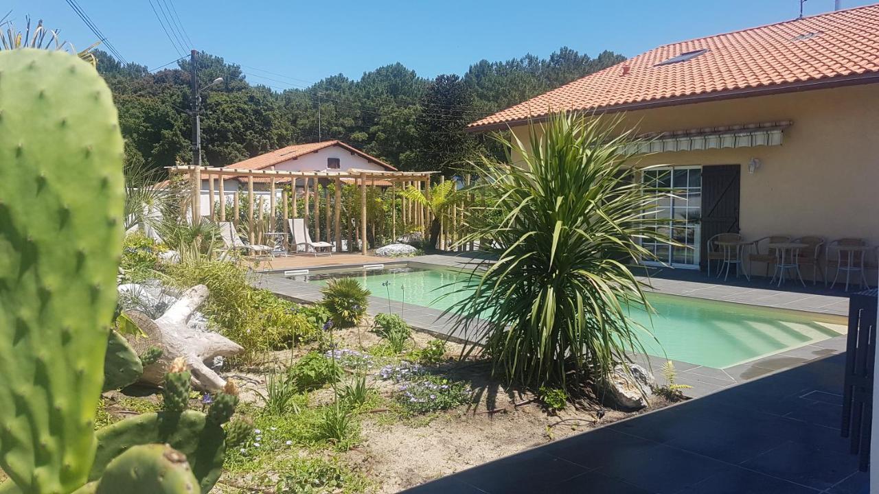 Chambre D'Hotes Avec Terrasse, Meuble Tourisme 1 Etoile Labenne Dış mekan fotoğraf